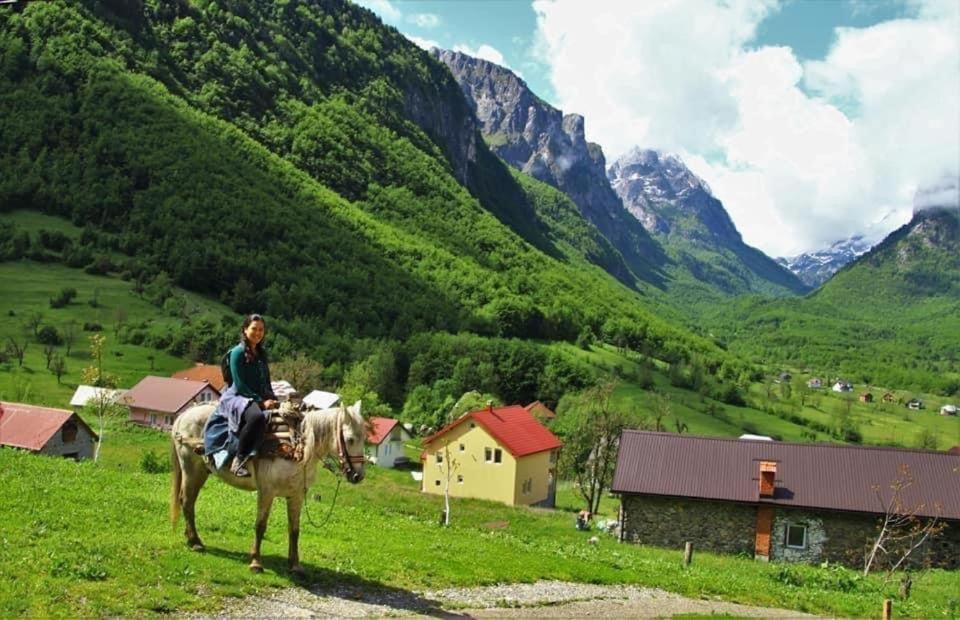 Dedushi Guesthouse &Wood Cabins-Camping Place Gusinje Kültér fotó